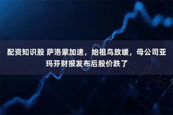 配资知识股 萨洛蒙加速，始祖鸟放缓，母公司亚玛芬财报发布后股价跌了