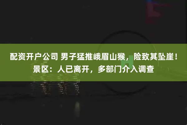 配资开户公司 男子猛推峨眉山猴，险致其坠崖！景区：人已离开，多部门介入调查